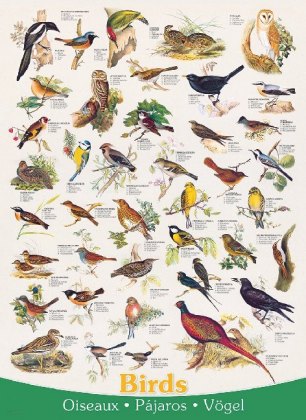 Vögel (Puzzle)