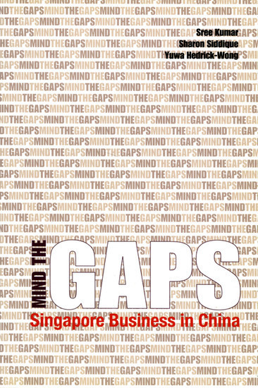 Mind the Gaps main product photo