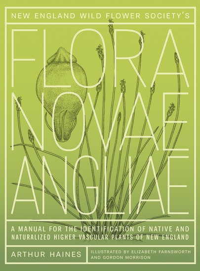New England Wild Flower Society's Flora Novae Angliae main product photo