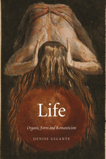 Life main product photo