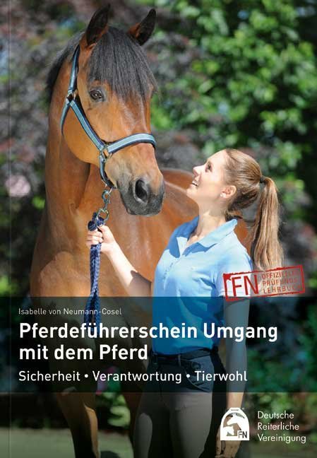 Pferdeführerschein Umgang mit dem Pferd main product photo