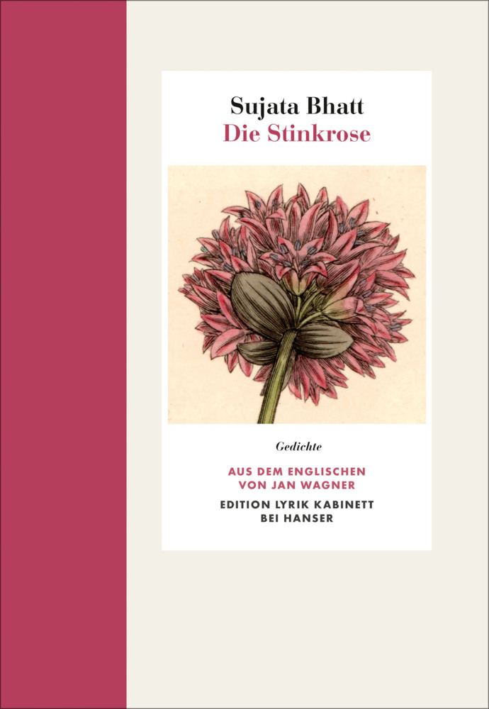 Die Stinkrose main product photo