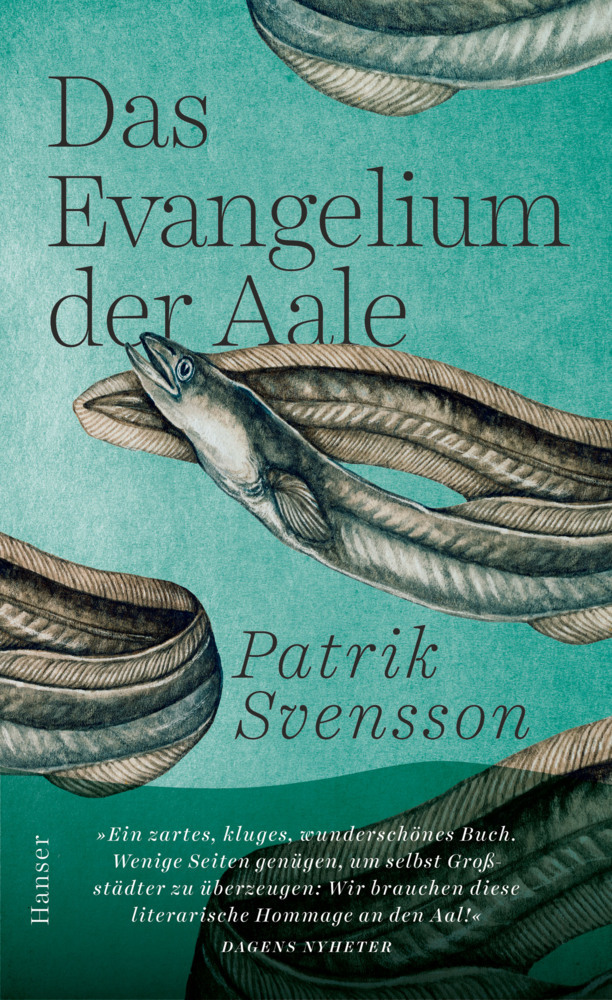 Das Evangelium der Aale main product photo