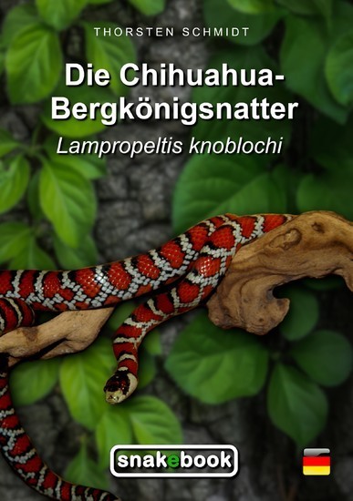 Die Chihuahua-Bergkönigsnatter main product photo