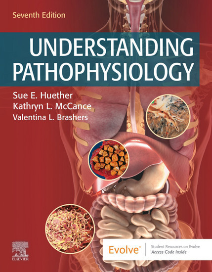 Understanding Pathophysiology - E-Book main product photo