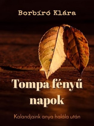 Tompa fény napok