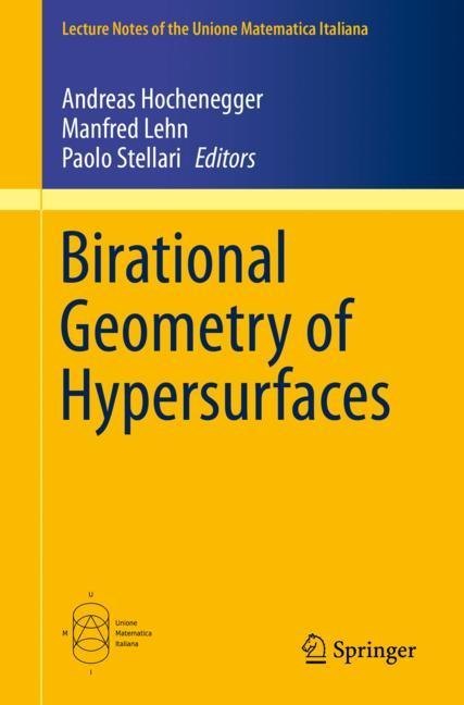 Birational Geometry of Hypersurfaces main product photo