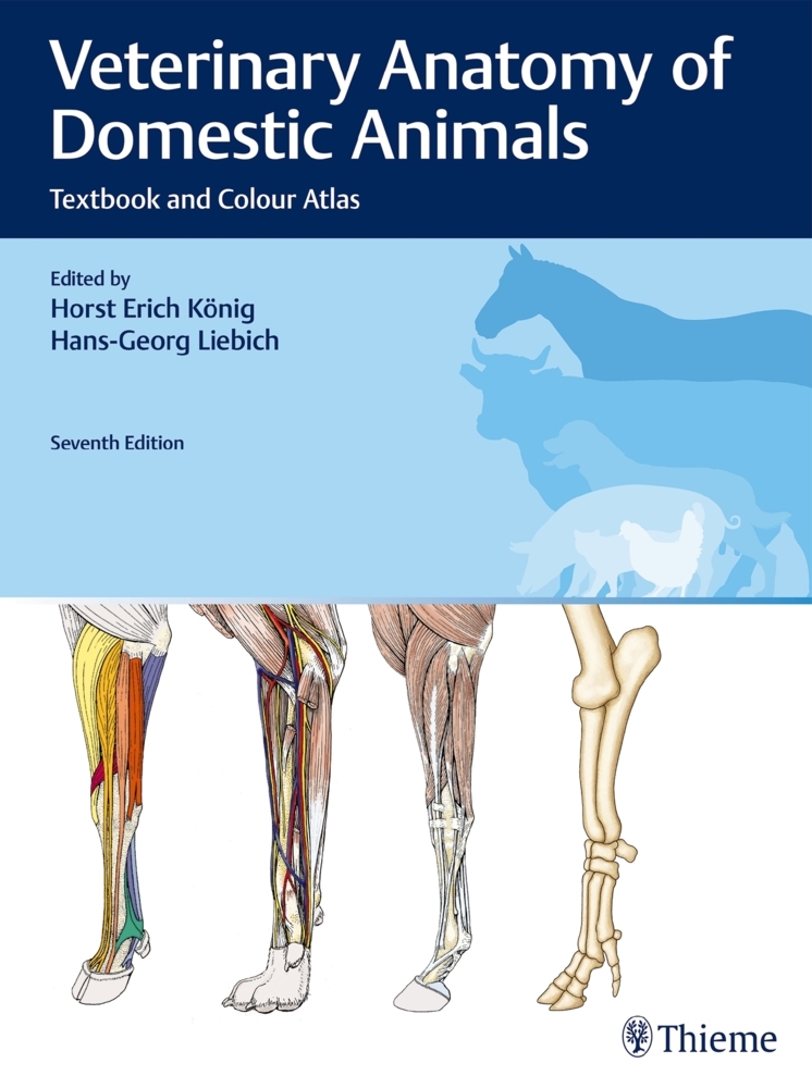 Veterinary Anatomy of Domestic Animals main product photo
