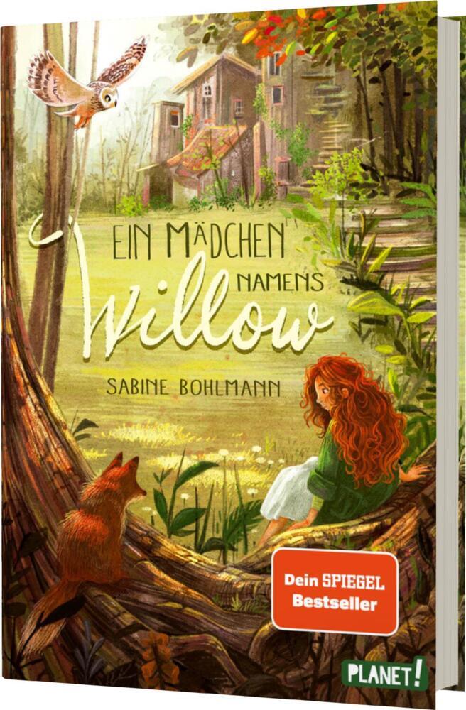 Ein Mädchen namens Willow 1: Ein Mädchen namens Willow main product photo