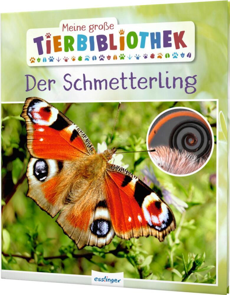Meine große Tierbibliothek: Der Schmetterling main product photo