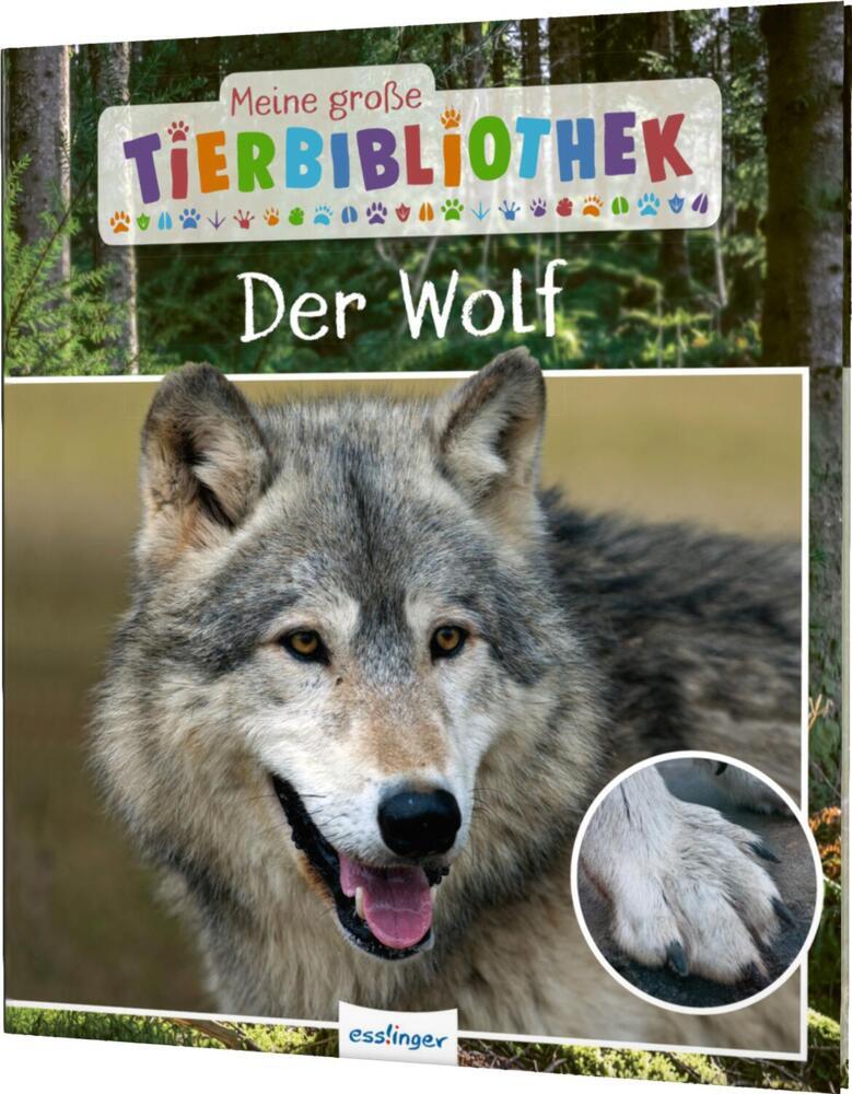 Meine große Tierbibliothek: Der Wolf main product photo