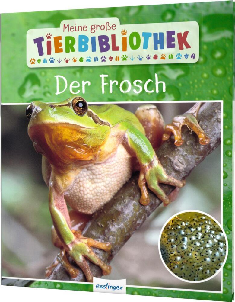 Meine große Tierbibliothek: Der Frosch main product photo