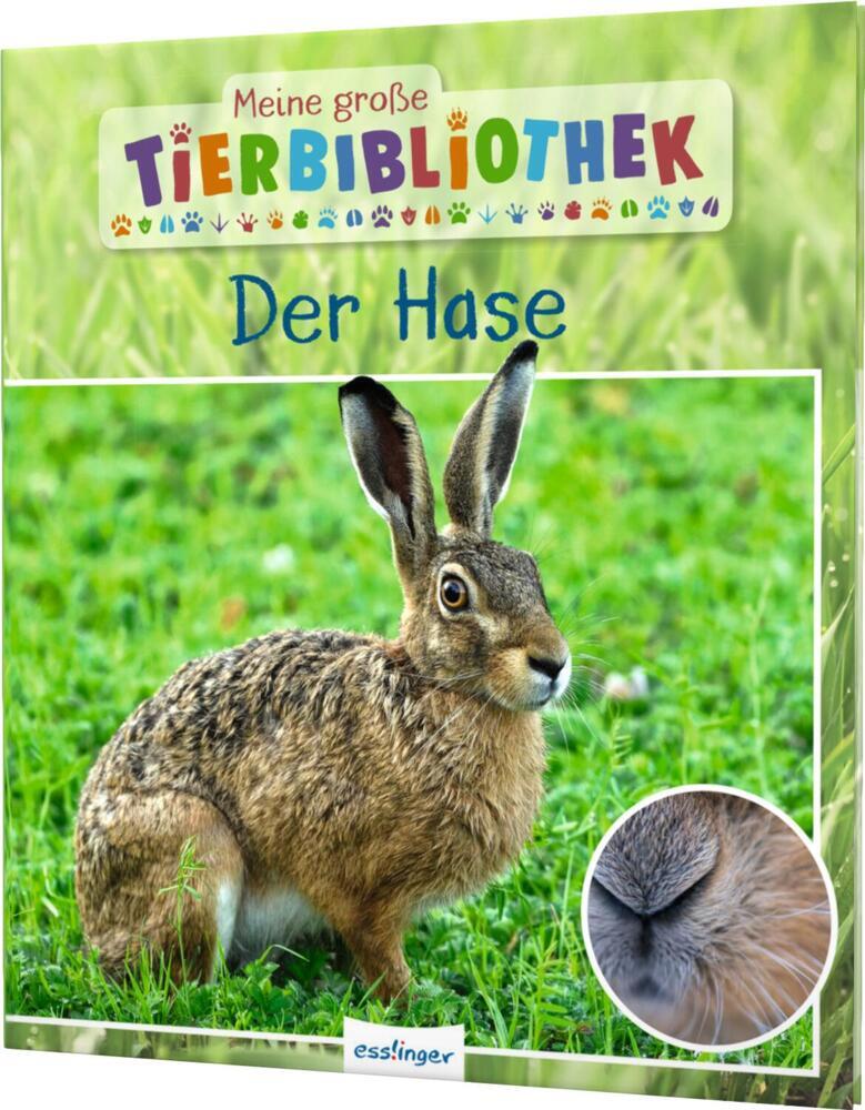 Meine große Tierbibliothek: Der Hase main product photo