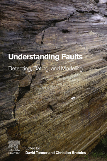 Understanding Faults main product photo