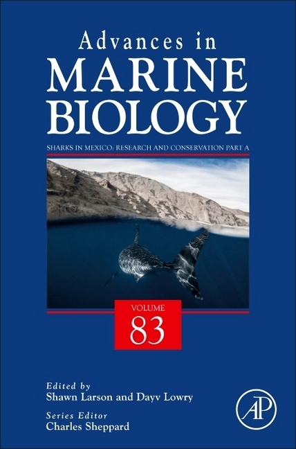 Sharks in Mexico: Research and Conservation main product photo