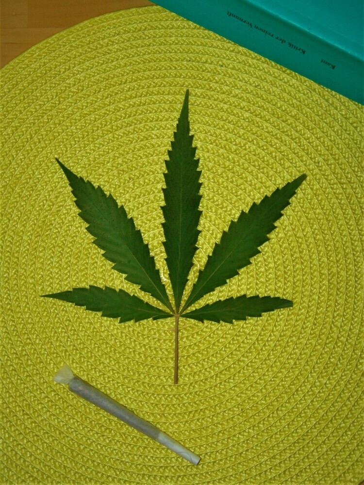 Cannabis legal? main product photo