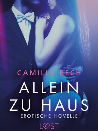 Allein zu Haus - Erotische Novelle