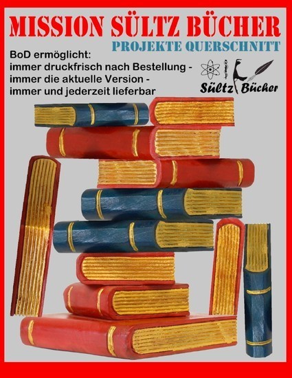 MISSION SÜLTZ BÜCHER - PROJEKTE QUERSCHNITT main product photo