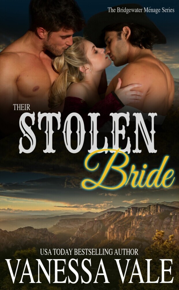 Their Stolen Bride main product photo