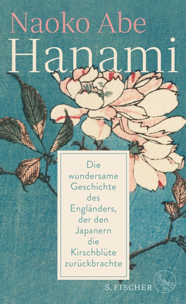 Hanami main product photo