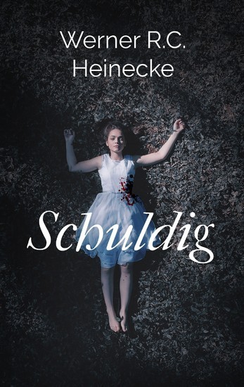 Schuldig main product photo