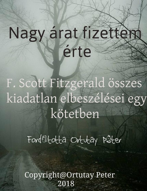 Nagy árat fizettem érte main product photo
