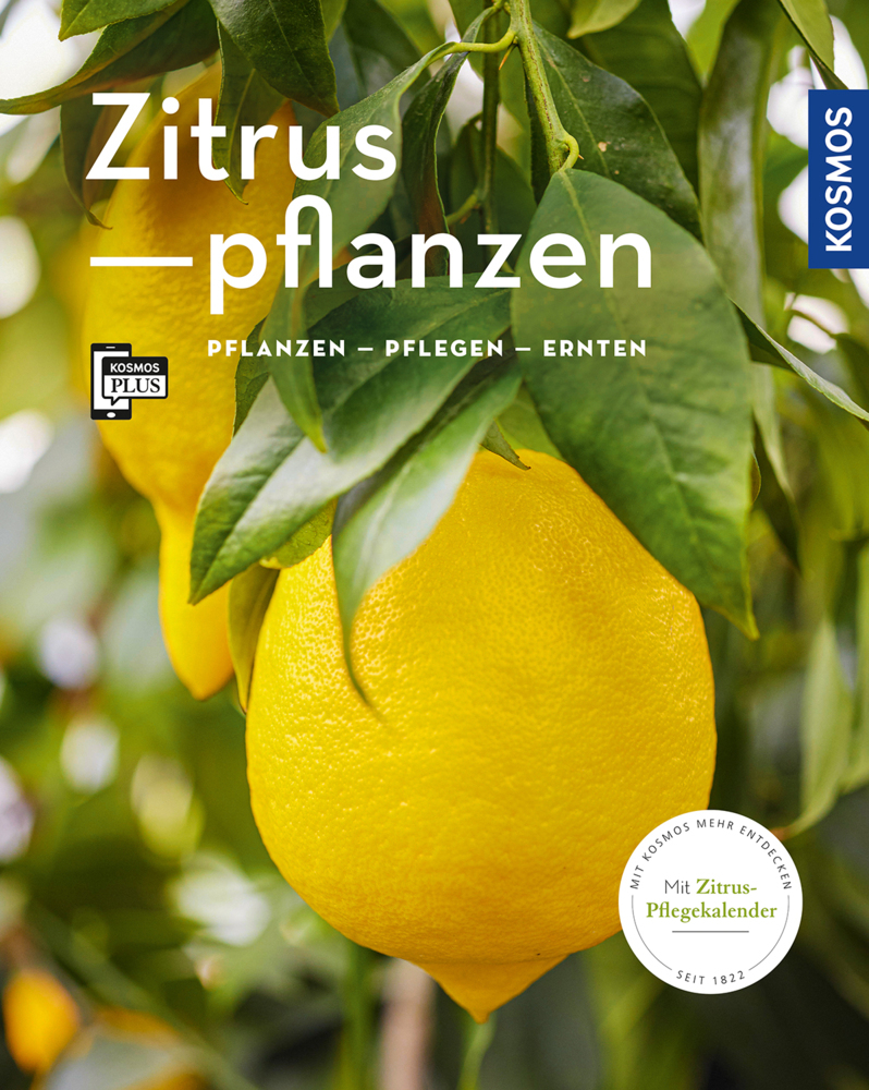 Zitruspflanzen (Mein Garten) main product photo