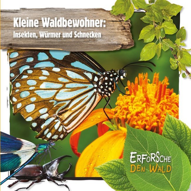 Kleine Waldbewohner: Insekten, Würmer und Schnecken main product photo