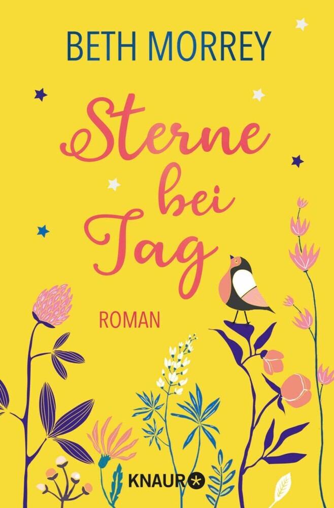 Sterne bei Tag main product photo