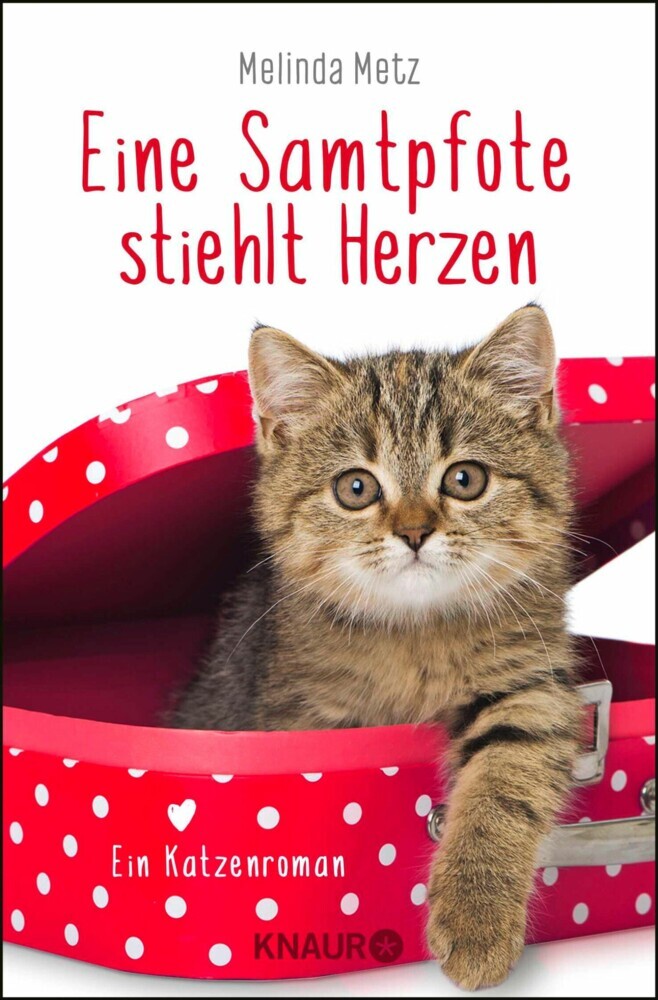 Eine Samtpfote stiehlt Herzen main product photo