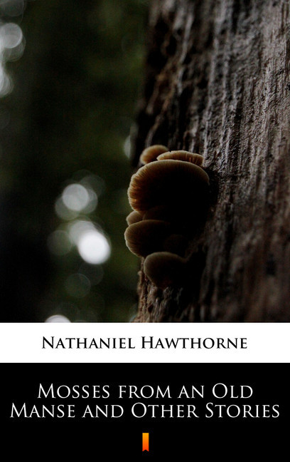 Mosses from an Old Manse and Other Stories main product photo
