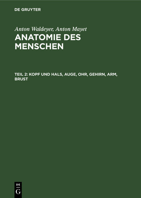 Kopf und Hals, Auge, Ohr, Gehirn, Arm, Brust main product photo