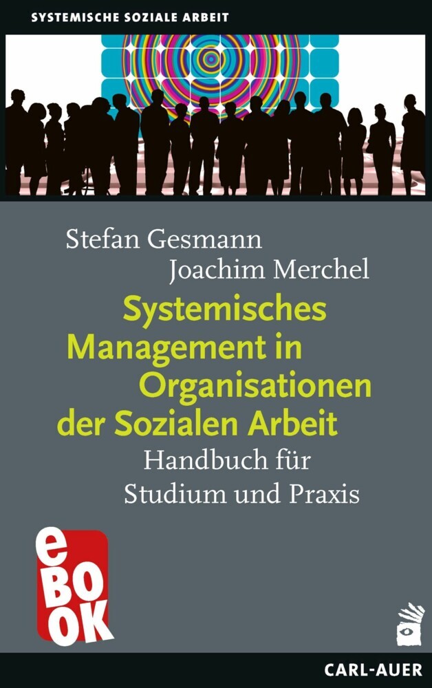 Systemisches Management in Organisationen der Sozialen Arbeit main product photo