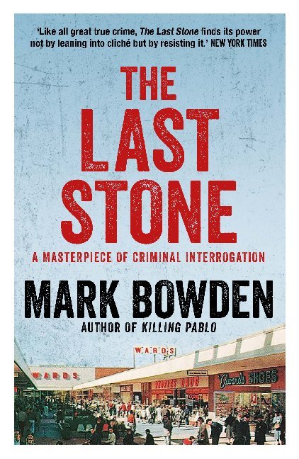 The Last Stone main product photo