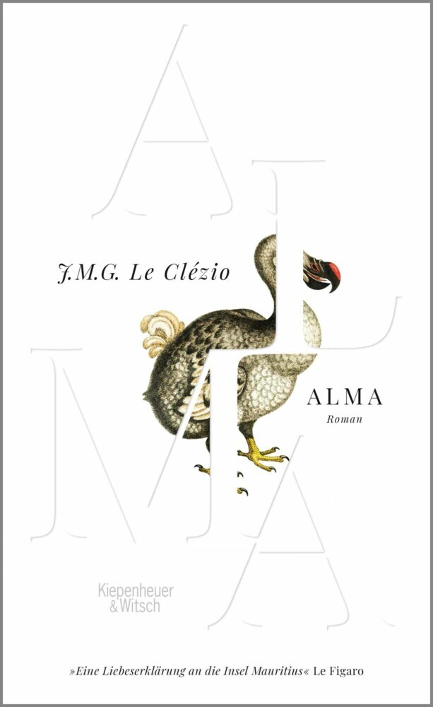 Alma main product photo