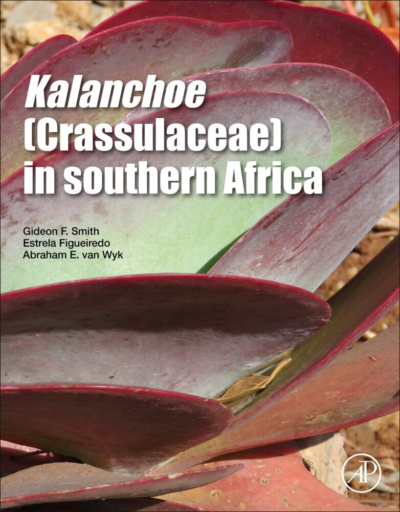 Kalanchoe (Crassulaceae) in Southern Africa main product photo