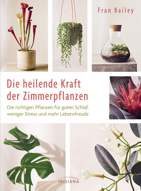 Die heilende Kraft der Zimmerpflanzen main product photo