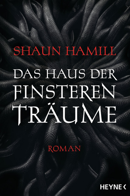 Das Haus der finsteren Träume main product photo