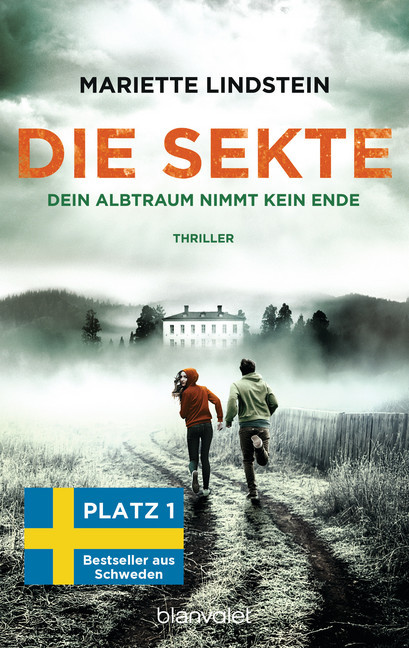Die Sekte - Dein Albtraum nimmt kein Ende main product photo