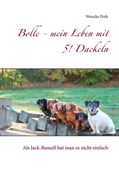 Bolle - mein Leben mit 5! Dackeln main product photo