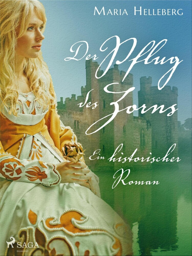Der Pflug des Zorns - Ein historischer Roman main product photo