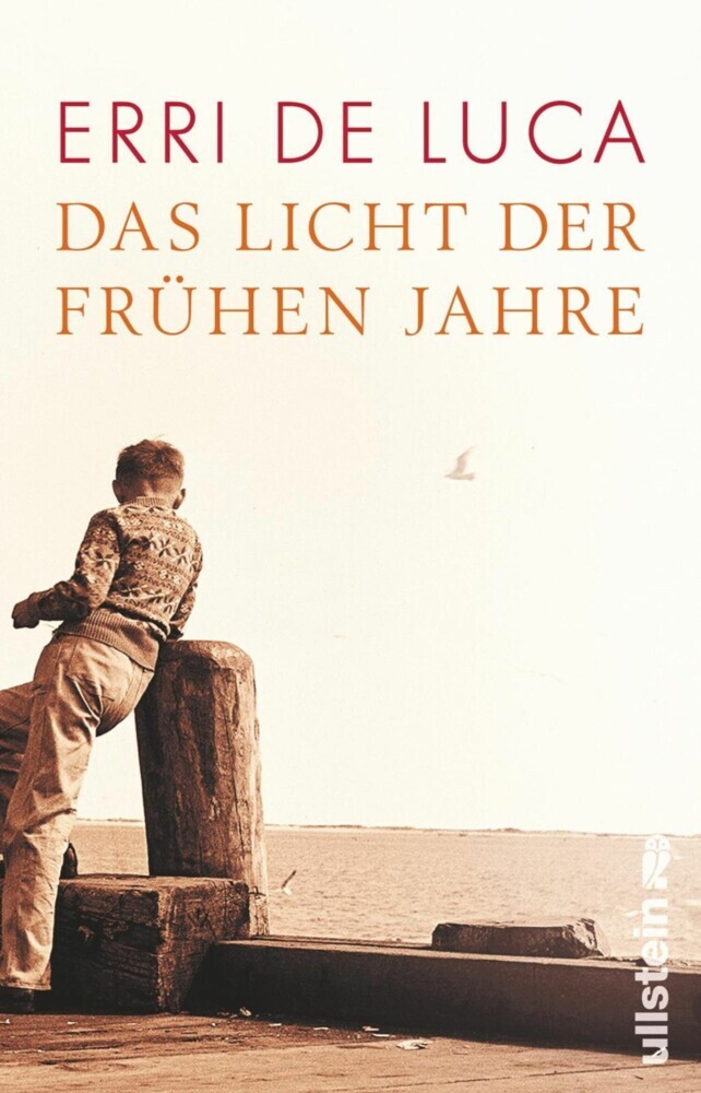 Das Licht der frühen Jahre main product photo
