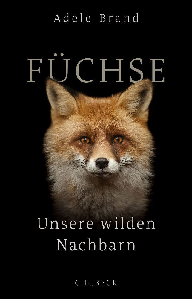 Füchse main product photo