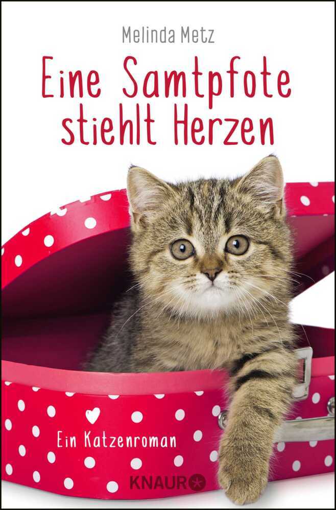 Eine Samtpfote stiehlt Herzen main product photo