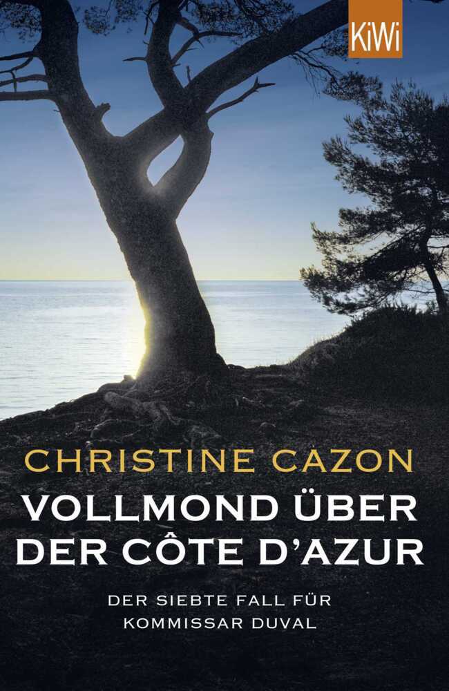 Vollmond über der Côte d'Azur main product photo