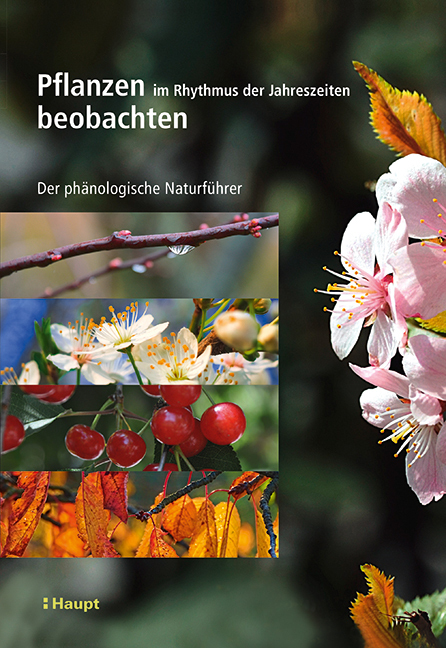 Pflanzen im Rhythmus der Jahreszeiten beobachten main product photo