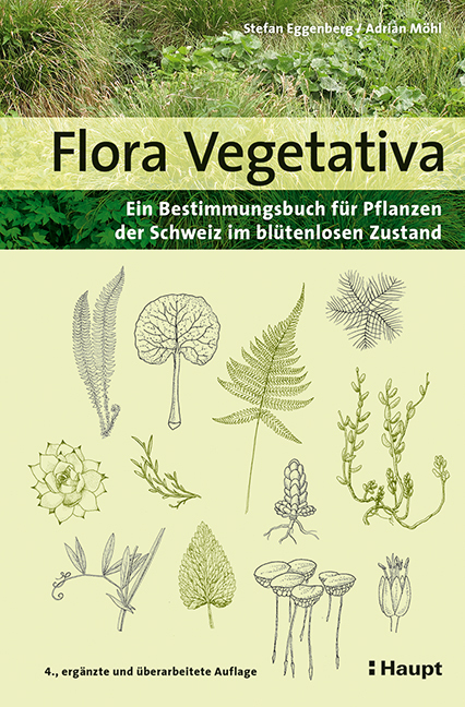 Flora Vegetativa main product photo