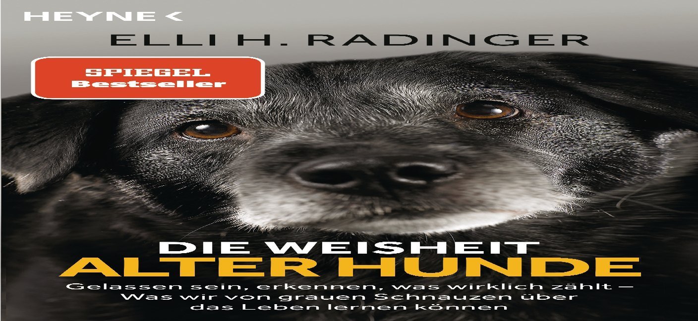 Die Weisheit alter Hunde main product photo