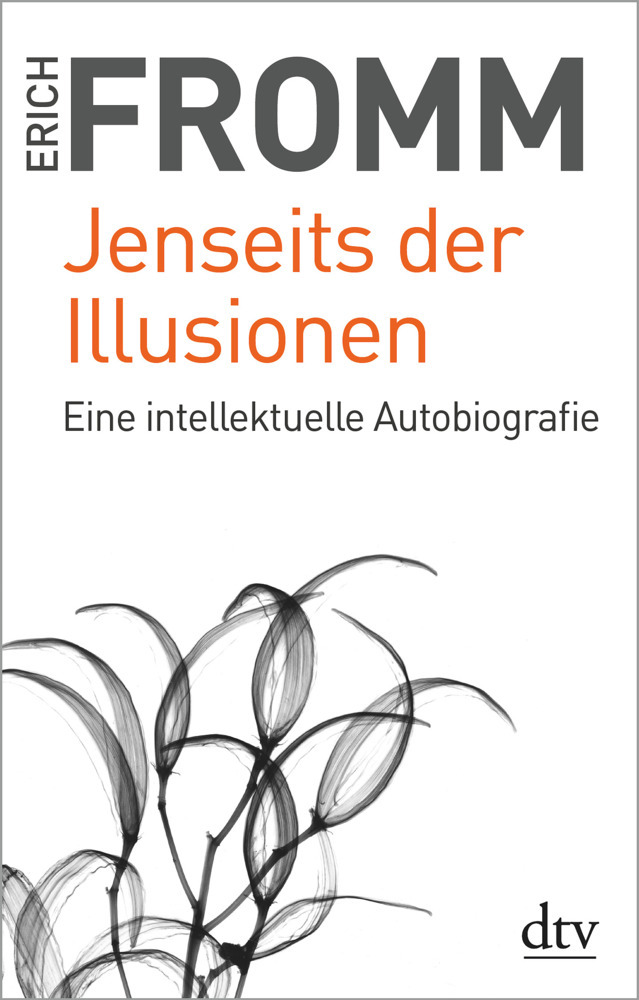 Jenseits der Illusionen main product photo