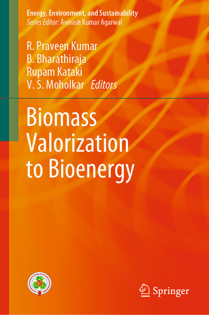 Biomass Valorization to Bioenergy main product photo